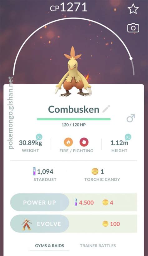combusken moves|Combusken (Pokémon GO) .